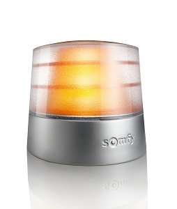FEU ORANGE MASTER PRO 24V À ANTENNE RTS - 9014082 - 1 - Somfy